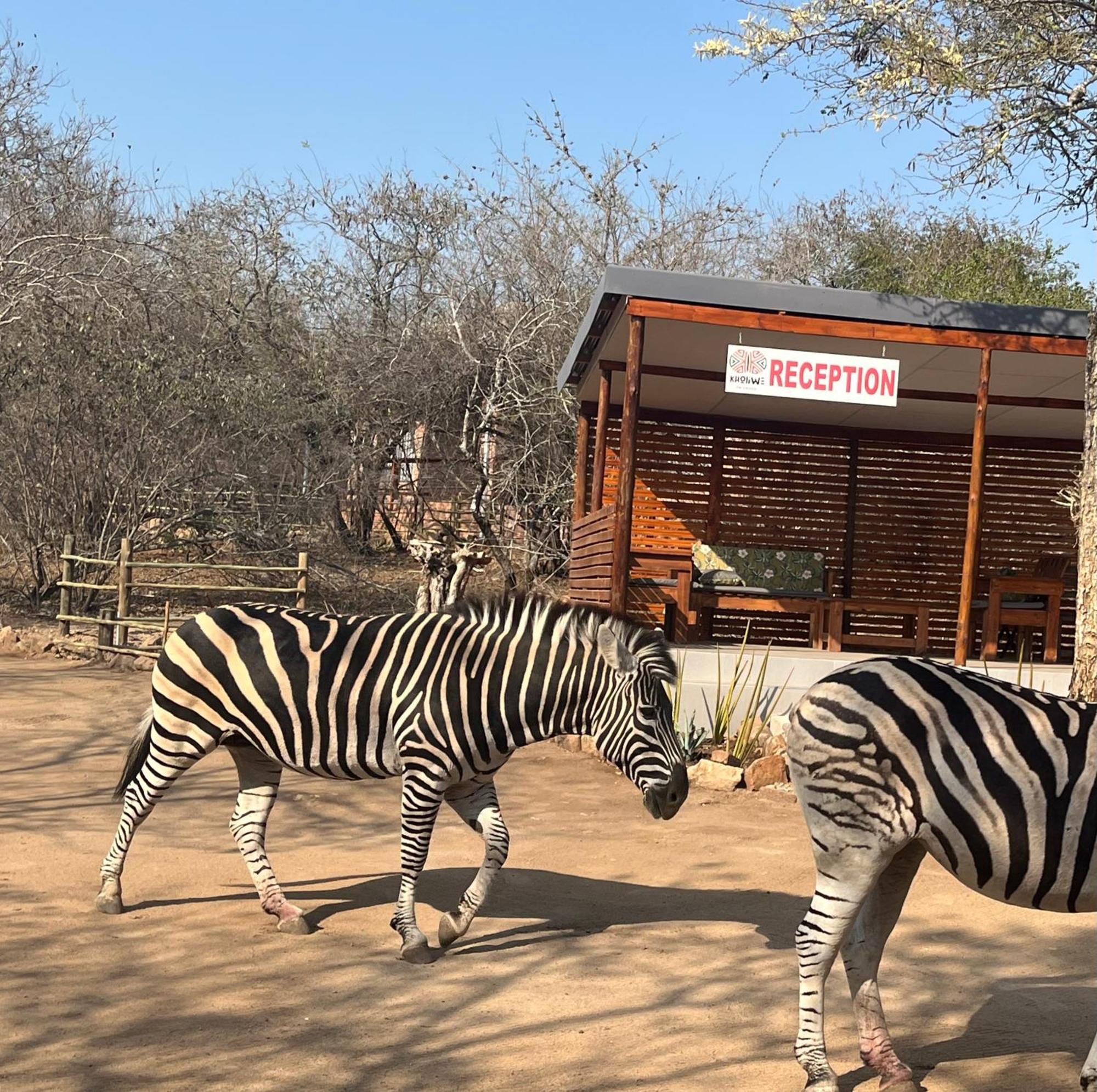 Kholiwe On Kruger Lodge & Safaris Marloth Park Eksteriør bilde