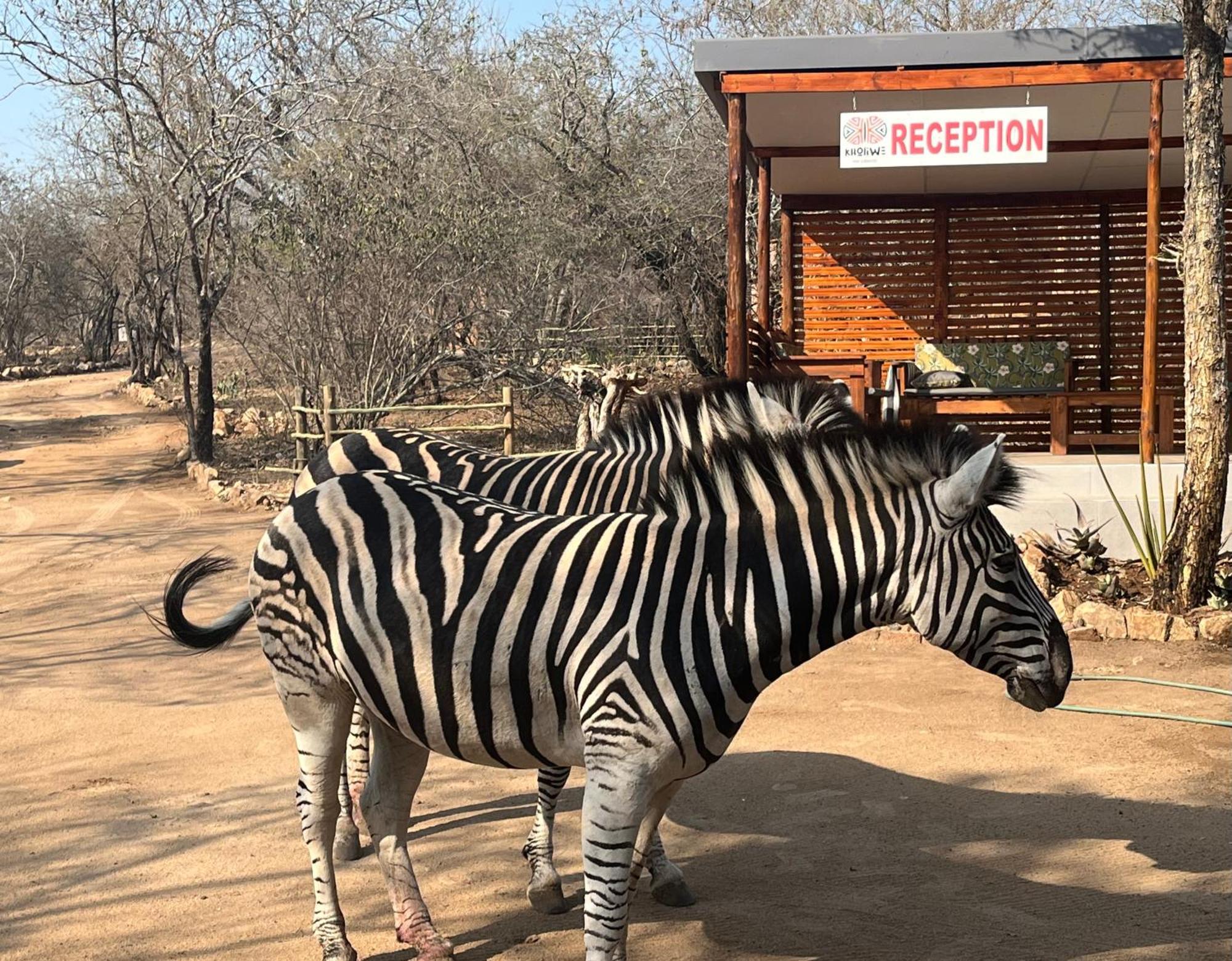 Kholiwe On Kruger Lodge & Safaris Marloth Park Eksteriør bilde