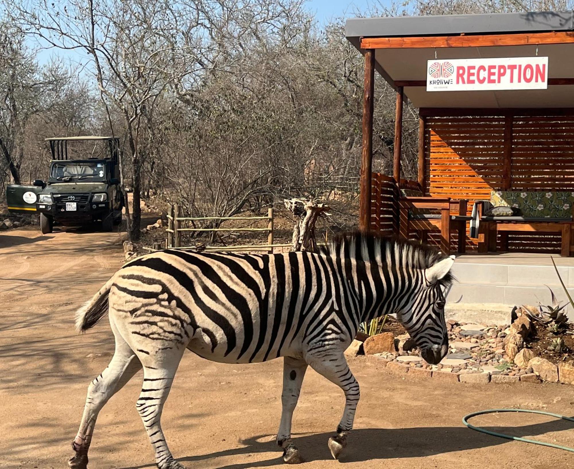 Kholiwe On Kruger Lodge & Safaris Marloth Park Eksteriør bilde