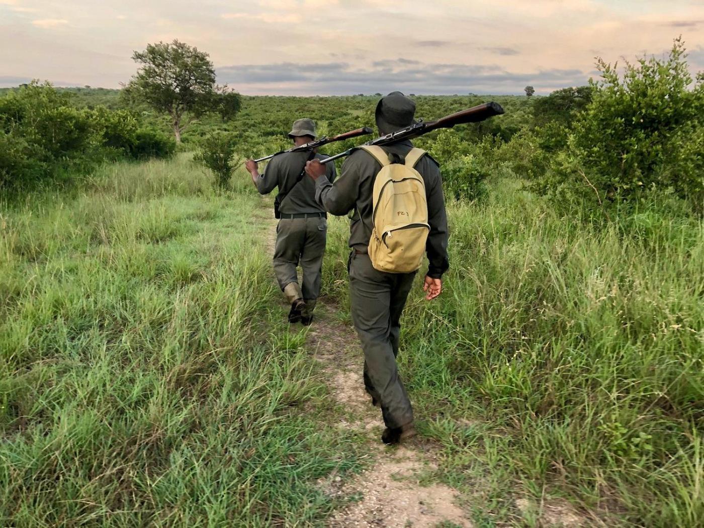 Kholiwe On Kruger Lodge & Safaris Marloth Park Eksteriør bilde